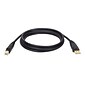 Tripp Lite U022 10' USB A Male to USB B Male Hi-Speed Data Transfer Cable; Black