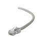 Belkin® 100' CAT 5e RJ-45 Male/Male Network Patch Cable, Gray