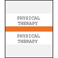 Medical Arts Press® Standard Preprinted Chart Divider Tabs; Physical Therapy, Orange