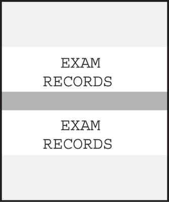 Medical Arts Press® Standard Preprinted Chart Divider Tabs; Exam Records, Gray