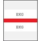 Medical Arts Press® Standard Preprinted Chart Divider Tabs; EKG, Red