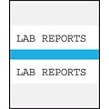 Medical Arts Press® Standard Preprinted Chart Divider Tabs; Lab Reports, Light Blue