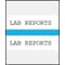 Medical Arts Press® Standard Preprinted Chart Divider Tabs; Lab Reports, Light Blue
