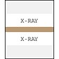 Medical Arts Press® Standard Preprinted Chart Divider Tabs; X-Ray, Tan