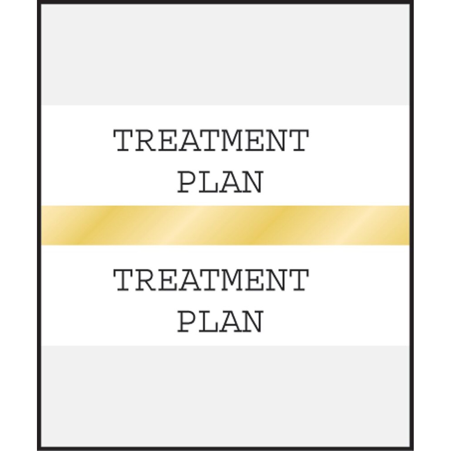 Medical Arts Press® Standard Preprinted Chart Divider Tabs; Treatment Plan, Gold