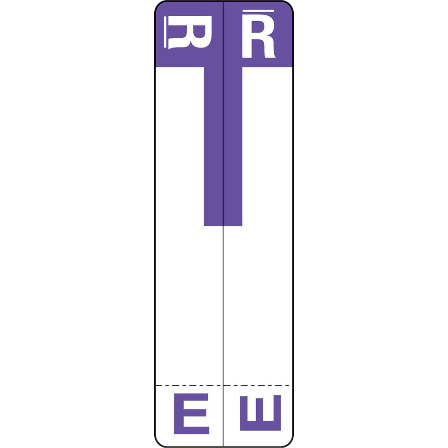 Medical Arts Press® E and R Name Labels, Purple, Smead® Alpha-Z® Compatible