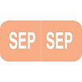 Medical Arts Press® Smead® Compatible Month Labels; September