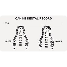 Veterinary Examination Medical Labels, Canine Dental Record, White, 1-3/4x3-1/4, 500 Labels