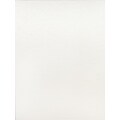 Fredrix Canvas Boards 8 In. X 10 In. Each [Pack Of 12]