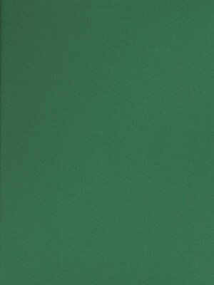 Canson Mi-Teintes Tinted Paper Viridian 19 In. X 25 In. [Pack Of 10]