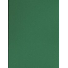 Canson Mi-Teintes Tinted Paper Viridian 19 In. X 25 In. [Pack Of 10]