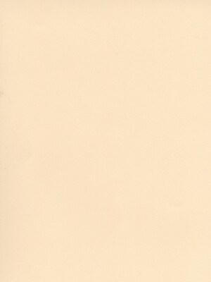 Canson Mi-Teintes Tinted Paper Ivory 19 In. X 25 In. [Pack Of 10]