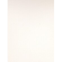 Canson Colorline Heavyweight Paper Sheets, White, 300Gsm, 19 X 25, 10/Pack (60434-Pk10)