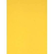 Canson Colorline 19In X 25In Canary Yellow 300 Gsm Heavyweight Paper Sheets, 10/Pack (60436-Pk10)