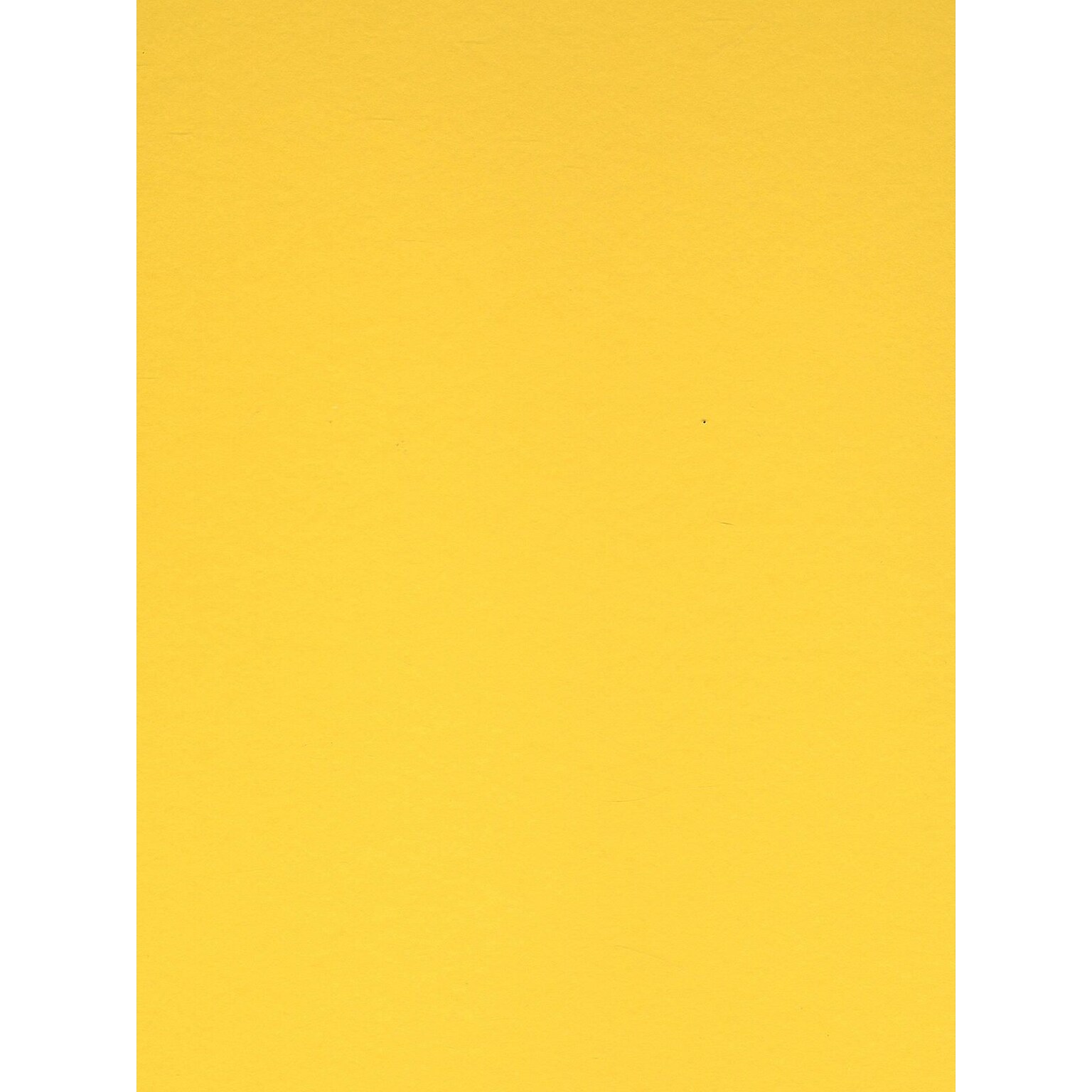Canson Colorline 19In X 25In Canary Yellow 300 Gsm Heavyweight Paper Sheets, 10/Pack (60436-Pk10)