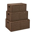 Honey-Can-Do Small Seagrass Baskets with Handles - Set of 3, Natural Taupe (STO-03557)