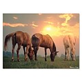 Melissa & Doug 300-Piece Sunrise Horses Cardboard Jigsaw 14.5 x 10.5 x 2.5 (8994)
