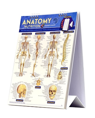 BarCharts, Inc. QuickStudy® Anatomy & Nutritions Easel Reference Set (9781423230502)