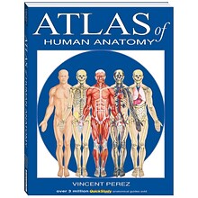 BarCharts, Inc. QuickStudy® Atlas of Human Anatomy Book (9781423201724)