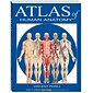 BarCharts, Inc. QuickStudy® Atlas of Human Anatomy Book (9781423201724)