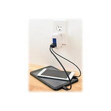 Tripp Lite 17 W USB Wall/Travel Charger; Blue/White (U280-002-W12)