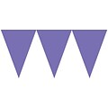 Amscan Paper Pennant Banner, 15, New Purple, 6/Pack (120099.106)