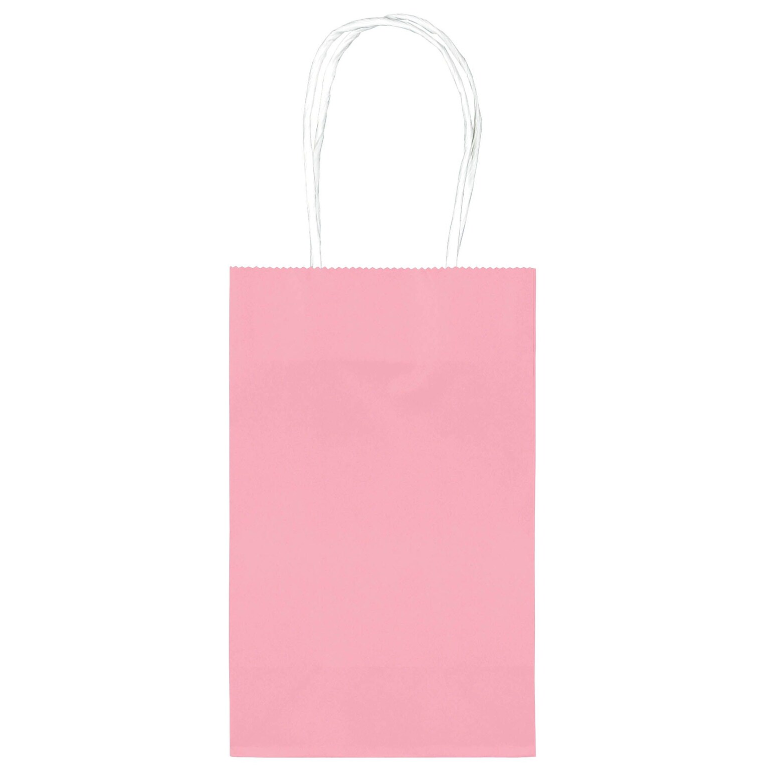 Amscan Cub Bags Value Pack; 4/Pack, Pink (162500.109)
