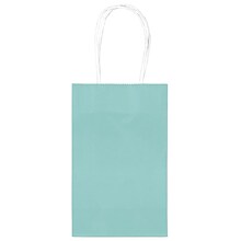 Amscan Kraft Paper Bag, 8.25 x 5.25, Robins Egg Blue, 4/Pack, 10 Bags/Pack (162500.121)