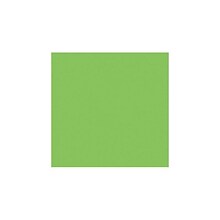 LUX® 12 x 12 Cardstock, Limelight Green, 50/PK (1212-C-101-50)