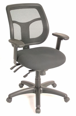 Raynor Eurotech Seating Apollo Mesh Desk Chair, Black