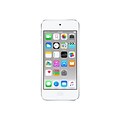 Apple® iPod Touch 64GB Media Player; Silver