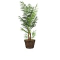 Vintage Home 84 Tall Areca Palm Tree in Planter (VHX108217)