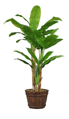 Vintage Home 80 Tall Banana Tree with Real Touch Leaves in Planter (VHX117217)