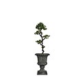 Vintage Home 62 Tall Yacca Tree in Planter (VHX122208)