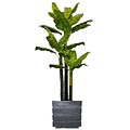 Vintage Home 78 Tall Real Touch Evergreen in Planter (VHX123204)