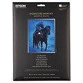 Epson Signature Worthy Sample Pack Luster Photo Paper, 8.5 x 11, 14/Pack (S045234)