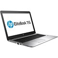HP ® EliteBook 755 G3 15.6 Notebook PC; LCD, AMD A12-8800B Quad-Core, 256GB SSD, 8GB RAM, Windows 7 Pro, Silver