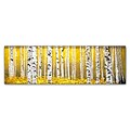 Trademark Fine Art PanorAspens Yellow Floor by Roderick Stevens 10 x 32 Canvas Art (RS1020-C10