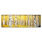 Trademark Fine Art ''PanorAspens Yellow Floor'' by Roderick Stevens 10" x 32" Canvas Art (RS1020-C1032GG)