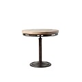 Stein World Mechanica  End Table; Antique Brown (251-021)