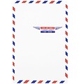 JAM Paper Open End Catalog Envelope, 6 x 9, White, 25/Pack (1430743)