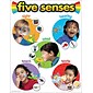 Trend Enterprises Five Senses Learning Chart (T-38051)