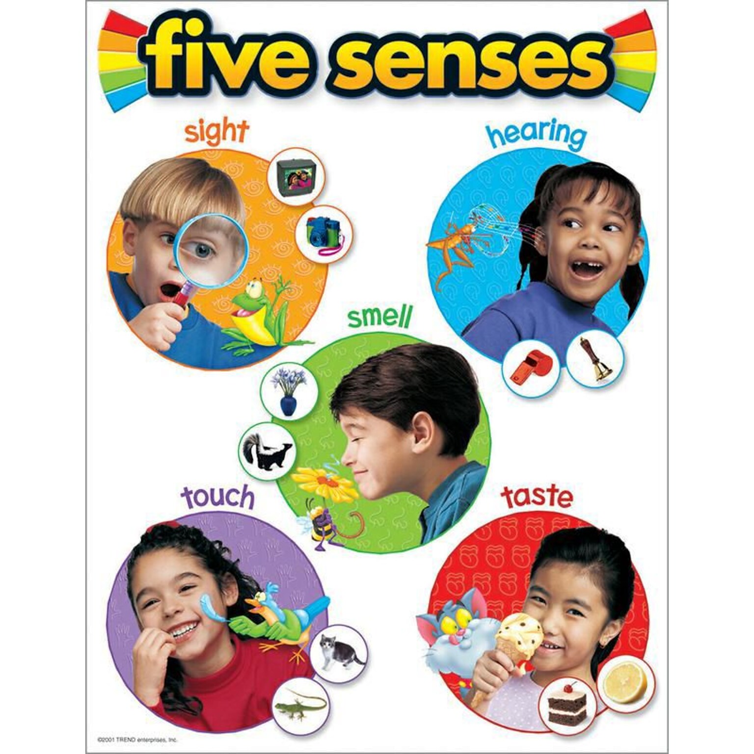 Trend Enterprises Five Senses Learning Chart (T-38051)