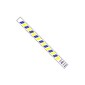 Tyvek® 3/4" x 10" Stripes Wristband, Blue/Yellow