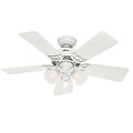 Hunter® Southern Breeze® 42 Ceiling Fan; White (51010)