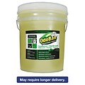 OdoBan Professional Series Deodorizer Disinfectant, 5gal Pail, Eucalyptus Scent