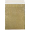 JAM Paper 10 x 13 Tear-Proof Open End Catalog Envelopes, Gold, 25/Pack (V021378)