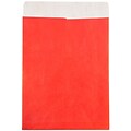 JAM Paper 10 x 13 Tear-Proof Open End Catalog Envelopes, Red, 25/Pack (V021383)