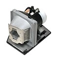 eReplacements 230 W Replacement Projector Lamp for Optoma HD HD6800; Silver (BL-FU220A-ER)