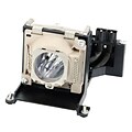 eReplacements 250 W Replacement Projector Lamp for BenQ PB8120; Black (60-J3503-CB1-ER)